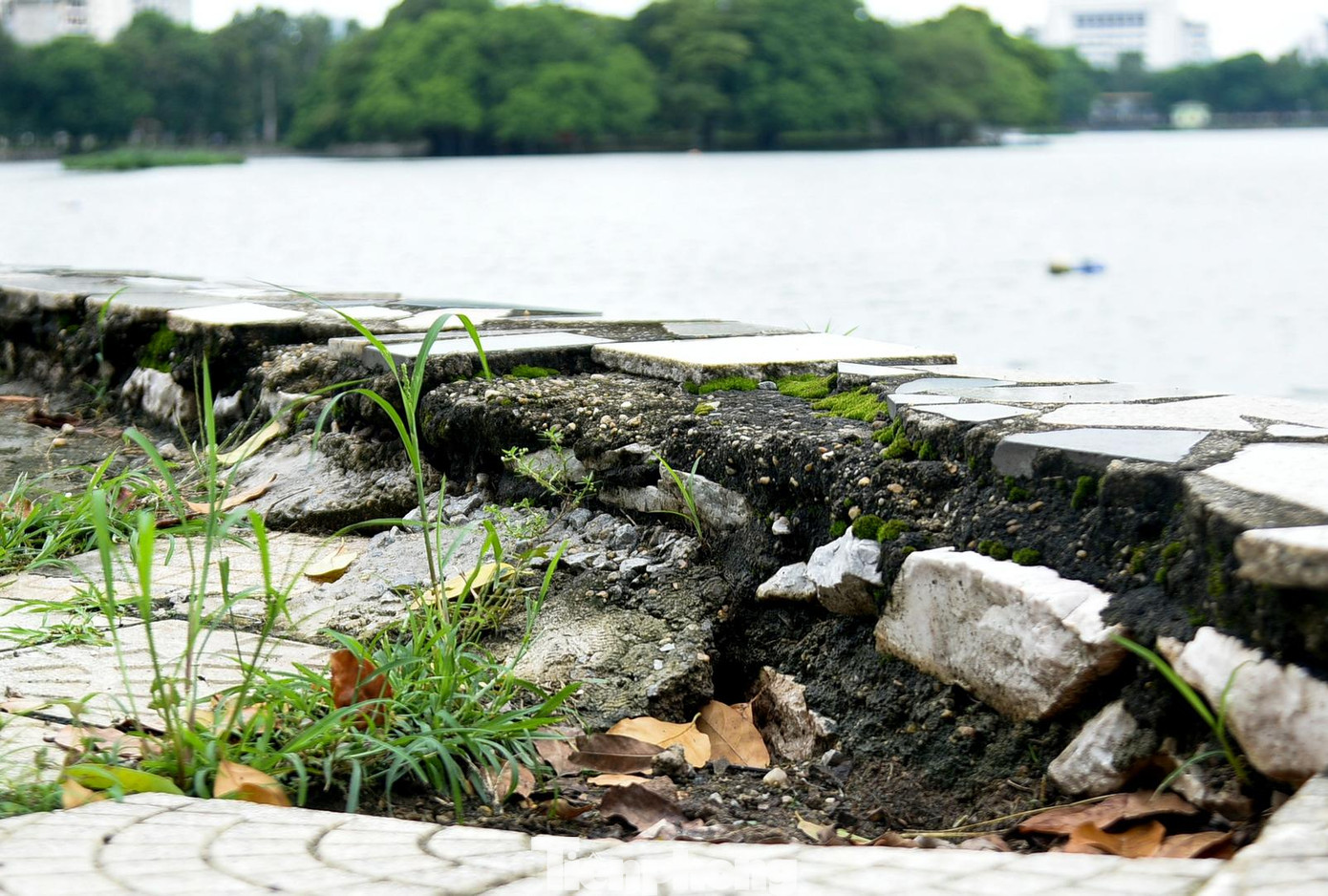 Các tuyến đường ven hồ đã bị sạt lở, lồi lõm khiến cho nhiều người dân khi đi tập thể dục không chú ý sẽ rất dễ bị tai nạn nguy hiểm.