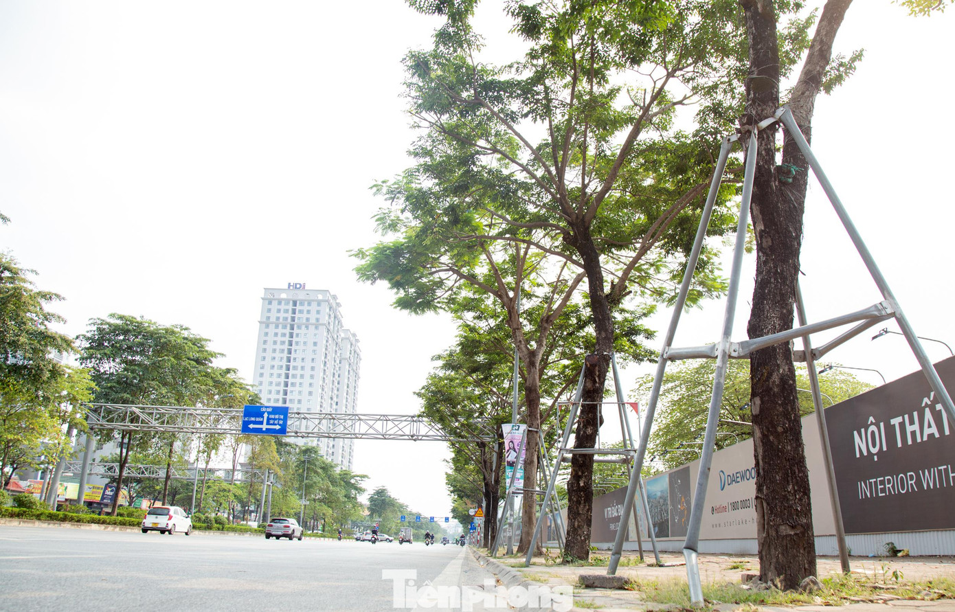 Thời gian qua trên nhiều địa bàn ở thủ đô Hà Nội xuất hiện tình trạng hàng trăm cây xanh bị các gông sắt thắt chặt vào thân cây từ rất lâu, khó có thể sinh trưởng được mạnh mẽ.