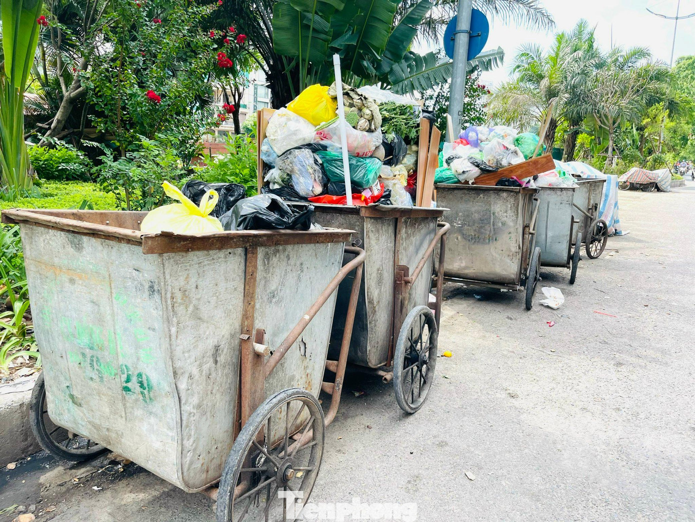Rác thải bốc mùi nồng nặc trong những ngày nắng nóng, oi bức. Rác thải bốc mùi nồng nặc trong những ngày nắng nóng, oi bức.