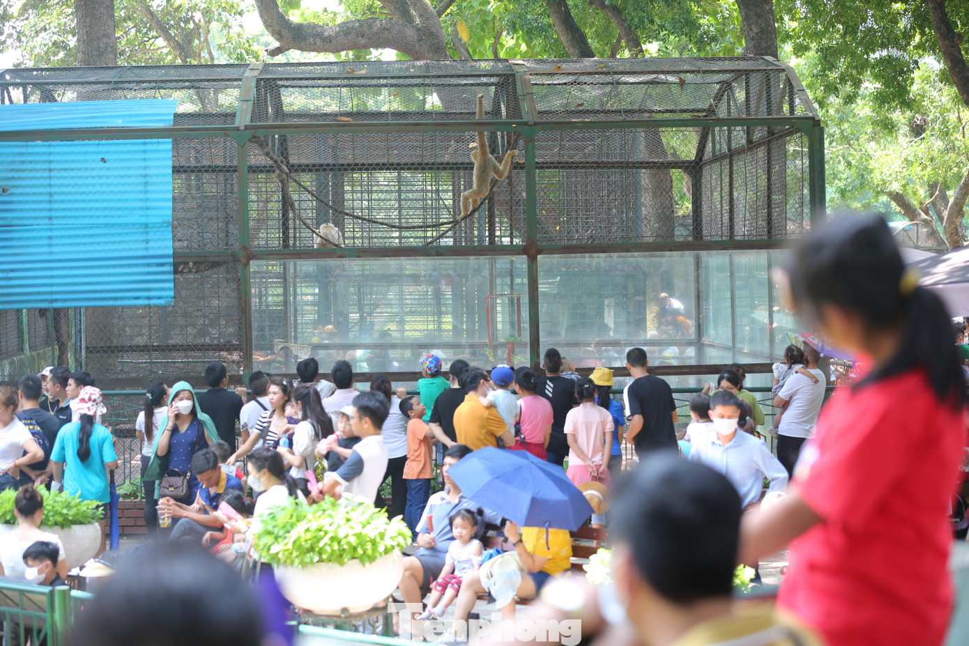 Mọi con đường trong công viên đều chật kín người đi lại. Các khu vực trò chơi, khu nuôi nhốt thú cũng luôn trong tình trạng quá tải.