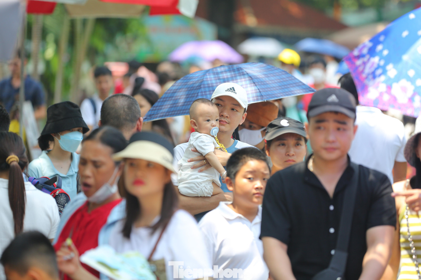 Dòng người xếp hàng kéo dài vào công viên vui chơi. Nhiều em bé được bố mẹ bế, cõng lên để di chuyển giữa dòng người đông đúc.