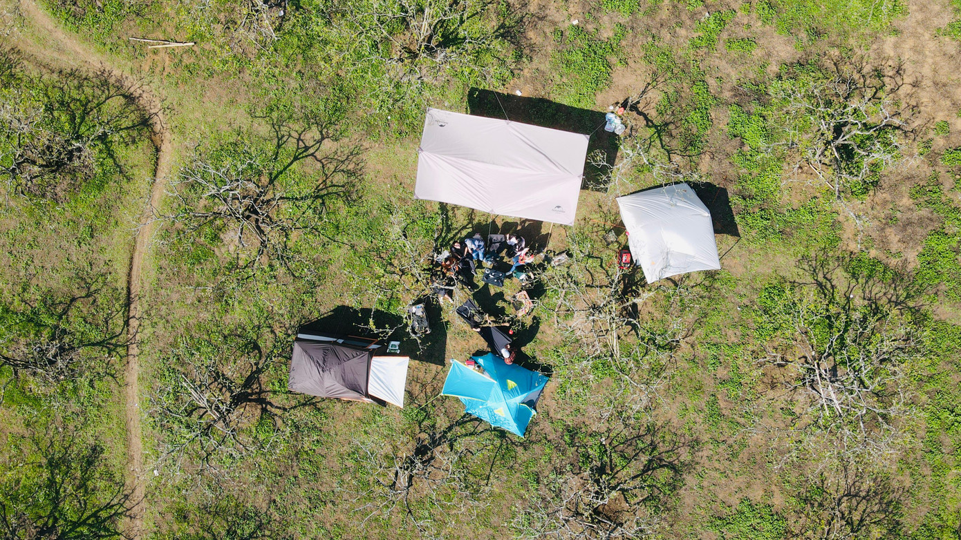 Anh Tráng A Náng, chủ một vườn mận tại Nà Ka, huyện Mộc Châu, Sơn La cho biết: "Du lịch hoa mận bắt đầu phát triển từ năm 2017, hầu như lượng khách lên Mộc Châu vào các mùa hoa đều tăng dần theo từng năm. Năm nay nhiều bạn trẻ lựa chọn trải nghiệm cắm trại giữa thung lũng mận trắng".