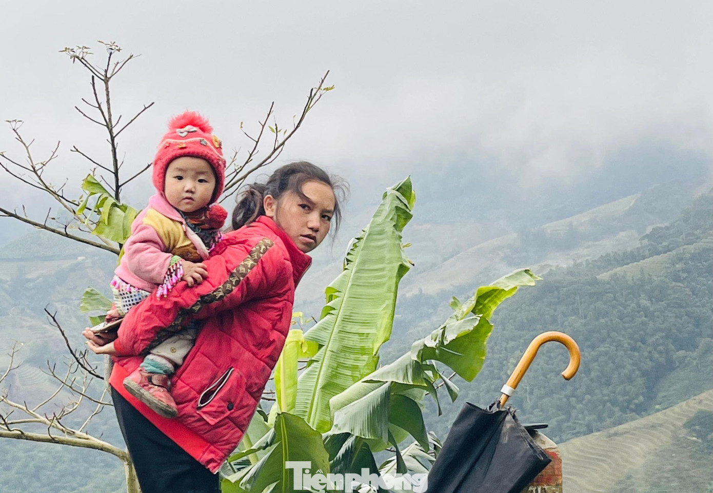 Một em bé ở vùng cao Y Tý, huyện Bát Xát vẫn theo mẹ lên nương trong ngày rét buốt.