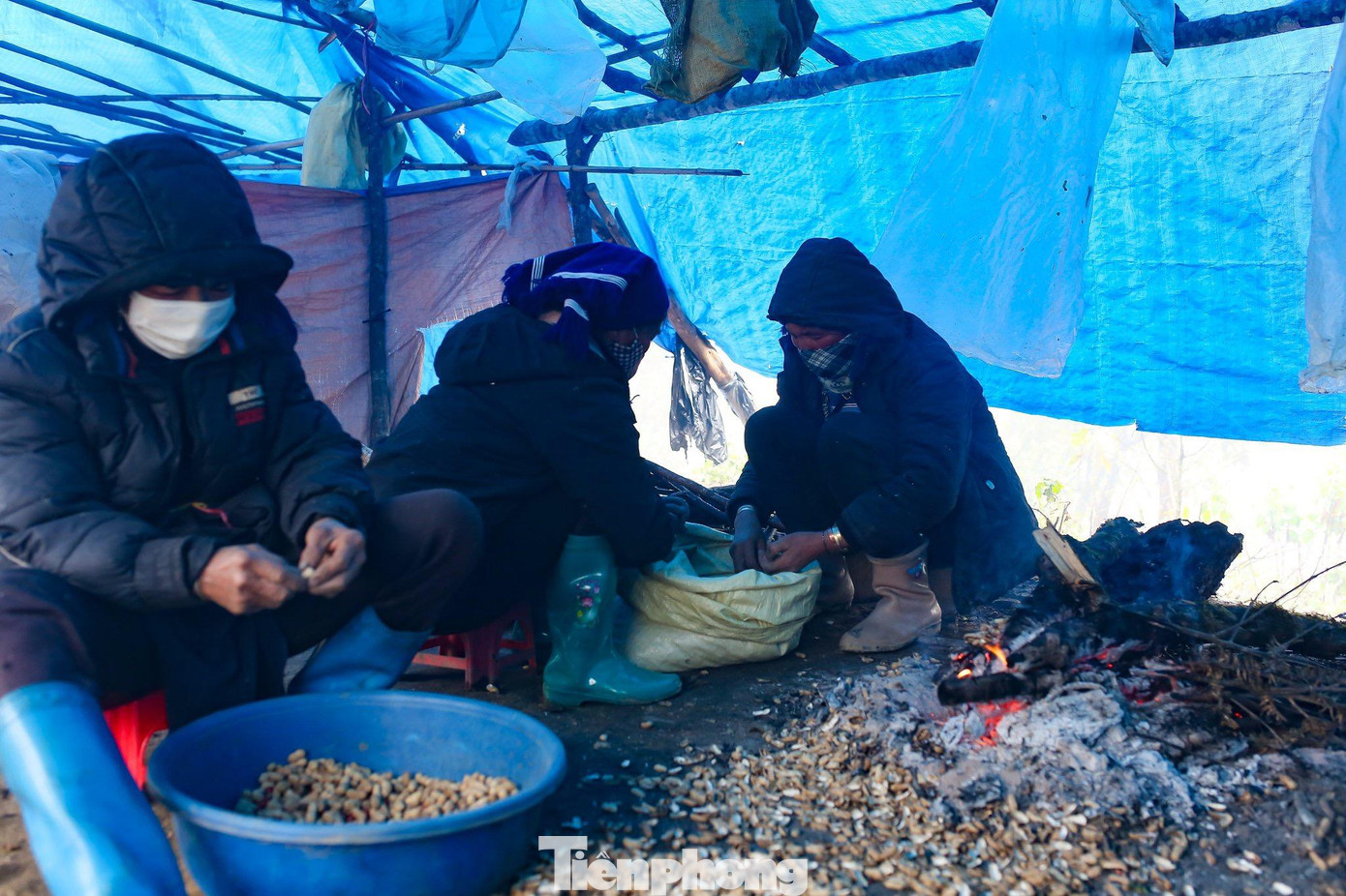 Vùng cao Y Tý, Lào Cai đang trải qua những ngày lạnh buốt thấu xương. Ban đêm, nhiệt độ nhiều thời điểm ở mức dưới 0 độ C, xuất hiện băng tuyết nhưng người dân nơi đây vẫn duy trì những công việc thường nhật để mưu sinh.