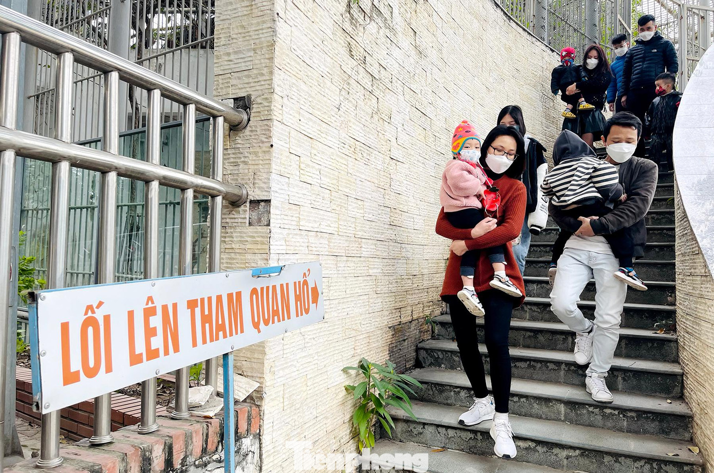 Mỗi dịp vào kỳ nghỉ lễ Tết Nguyên đán, công viên Thủ Lệ - vườn Thú Hà Nội luôn là địa điểm thu hút rất đông khách tham quan trong những ngày này. Năm nay Nhâm Dần nên lối lên tham quan hổ luôn là sự lựa chọn đầu tiên của các gia đình.