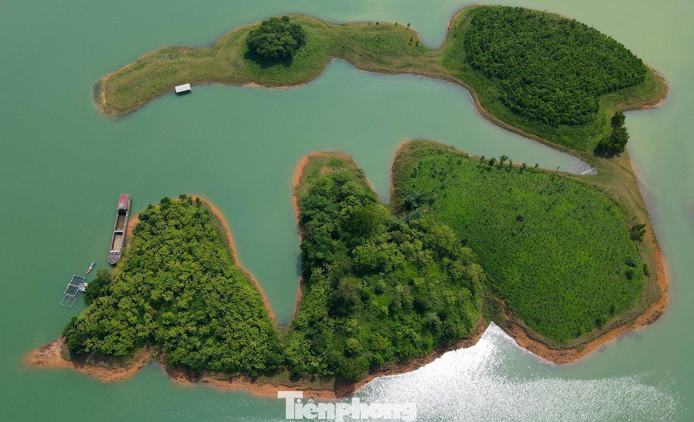 Hơn 1.300 "nấm đảo" lớn nhỏ phủ kín trên bề mặt hồ góp phần làm phong phú thêm cho hệ sinh thái nơi đây.