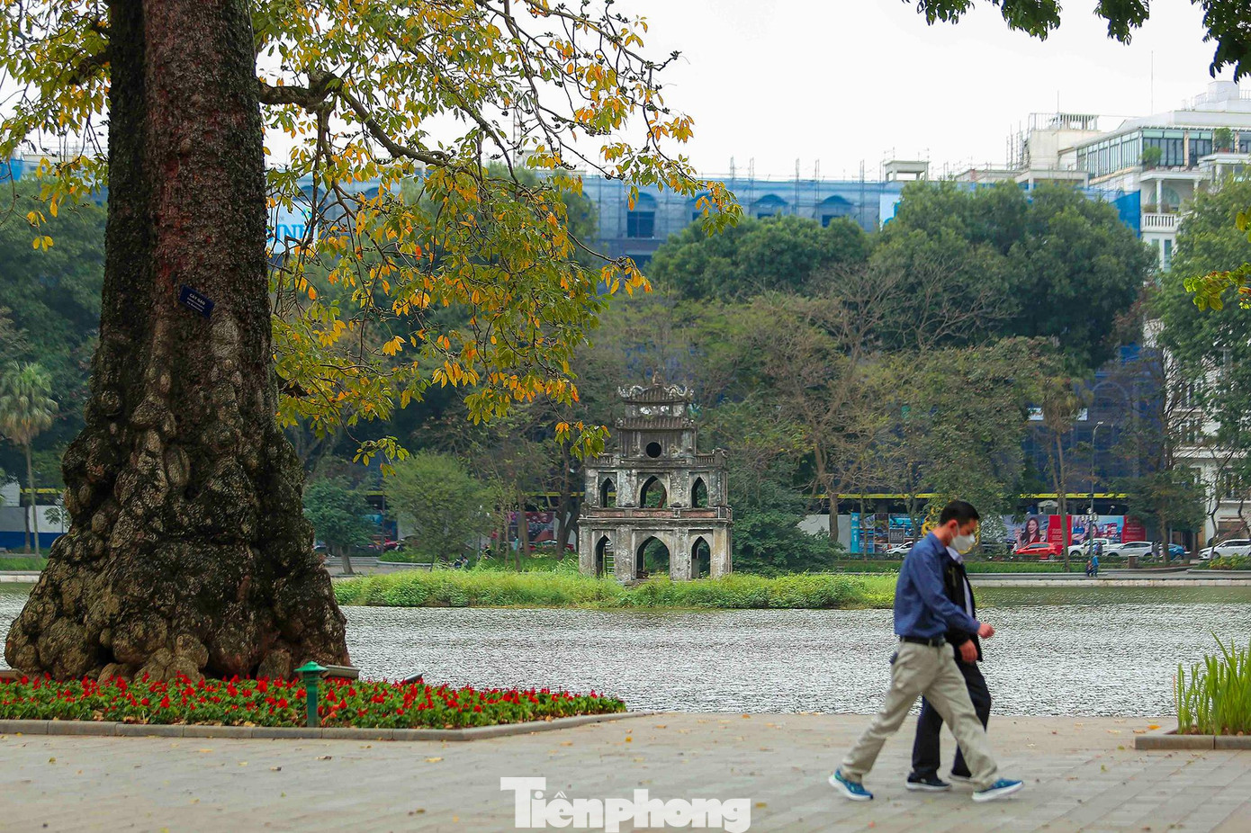 Hà Nội tháng 3, mùa &quot;hợp xướng&quot; của những gam màu vừa thân quen vừa lạ lẫm.