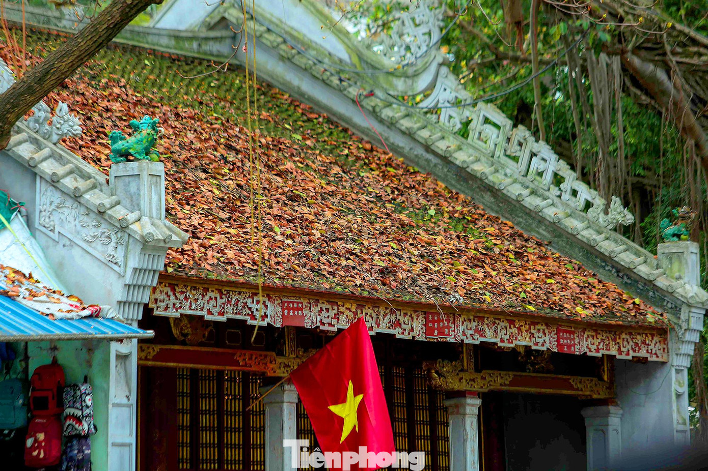 Hà Nội đẹp đến nao lòng mùa cây thay lá.