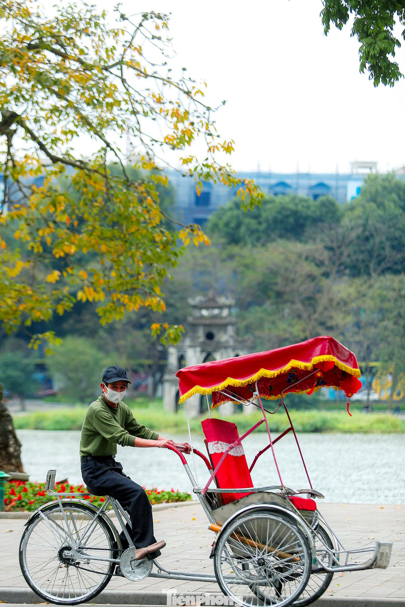 Lộc vừng được trồng rất nhiều ven Hồ Hoàn Kiếm, đây cũng là loại cây được rất nhiều người yêu thích.