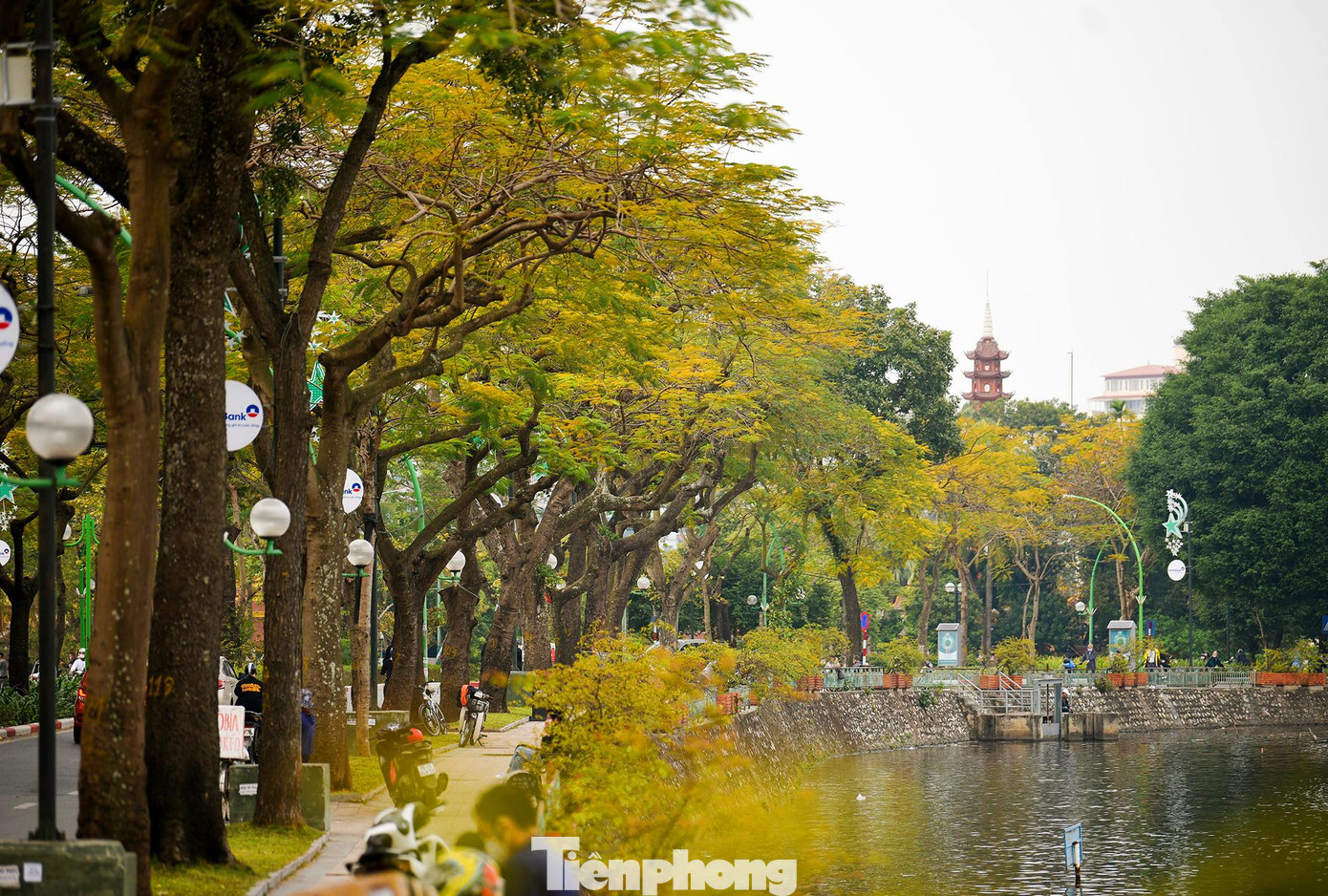 Vẻ đẹp của những sắc vàng, sắc đỏ, đâu đó lại tô điểm sắc xanh mới chớm tạo nên khung cảnh vô cùng lãng mạn.