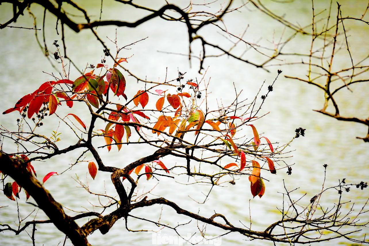 Vẻ đẹp thanh bình nơi Hồ Gươm ngày cuối tuần.