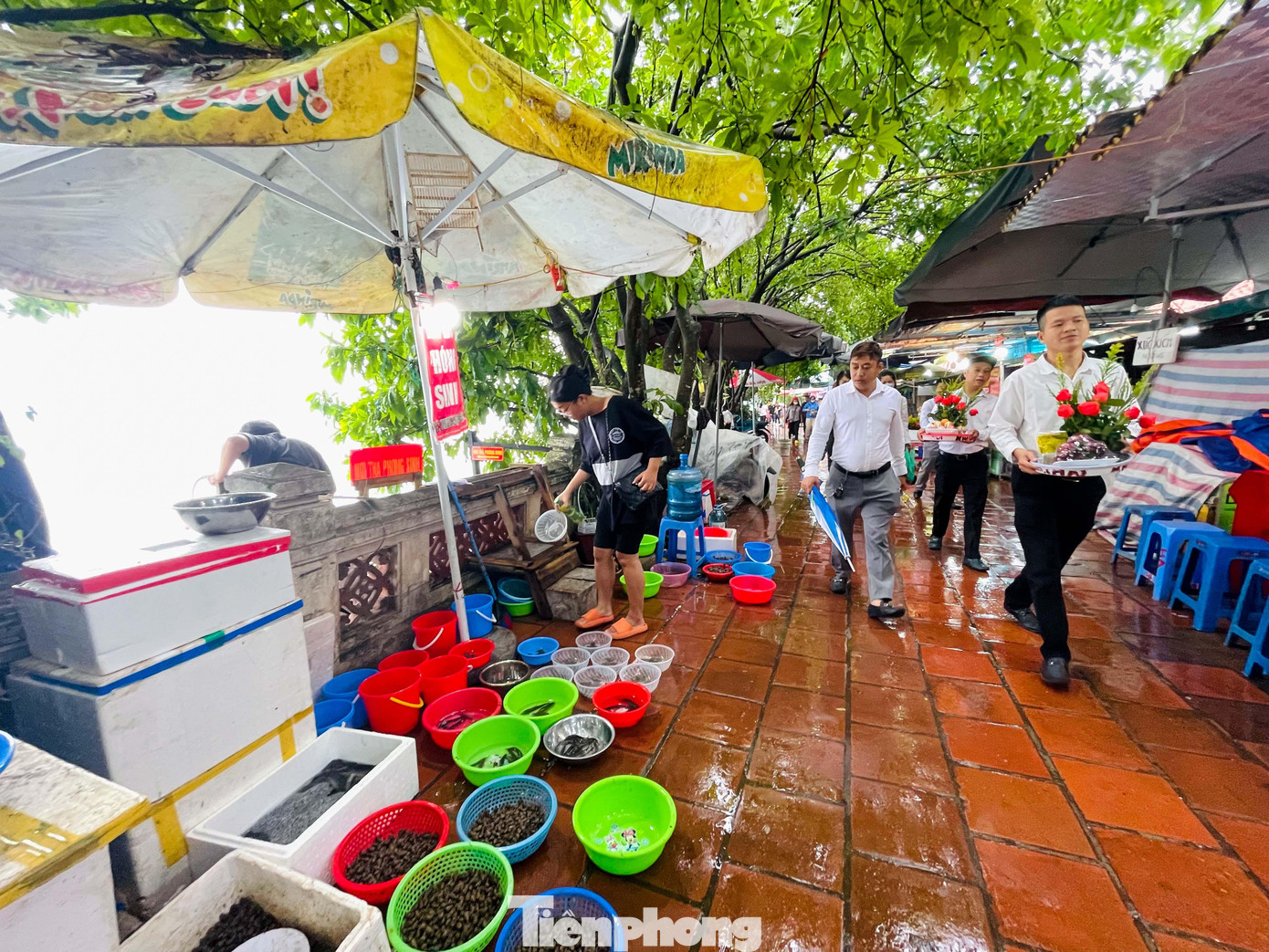 Phủ Tây Hồ (Quảng An - Tây Hồ - Hà Nội) xưa nay vốn nổi tiếng bởi sự linh thiêng trong tâm niệm của nhiều người. Đây là nơi thờ công chúa Liễu Hạnh và được xây dựng vào khoảng thế kỷ 17.