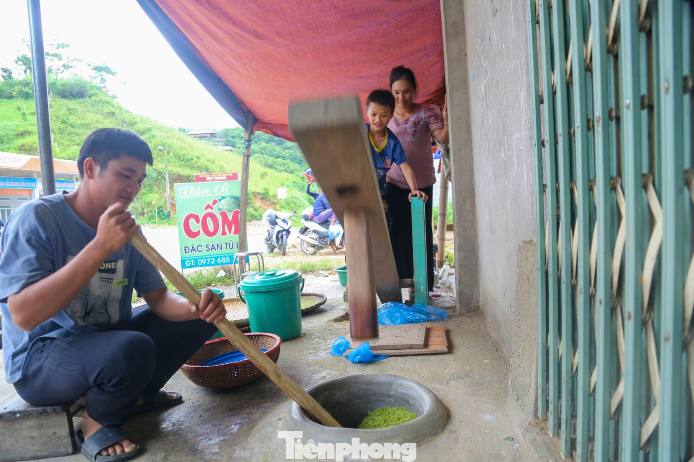 Người dân hái những bông lúa còn đẫm sương đêm, mang về tuốt, sau đó rang ngay, nếu để cách ngày mới rang thì hạt cốm không còn xanh ngon nữa.