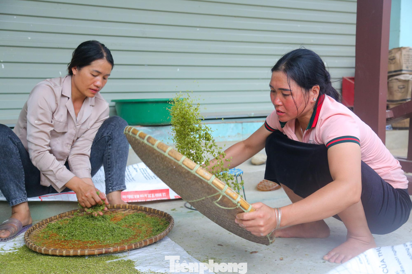 Nguyên liệu mà người dân Tú Lệ dùng làm cốm là giống gạo nếp Tan Lả, hạt to tròn, trắng trong