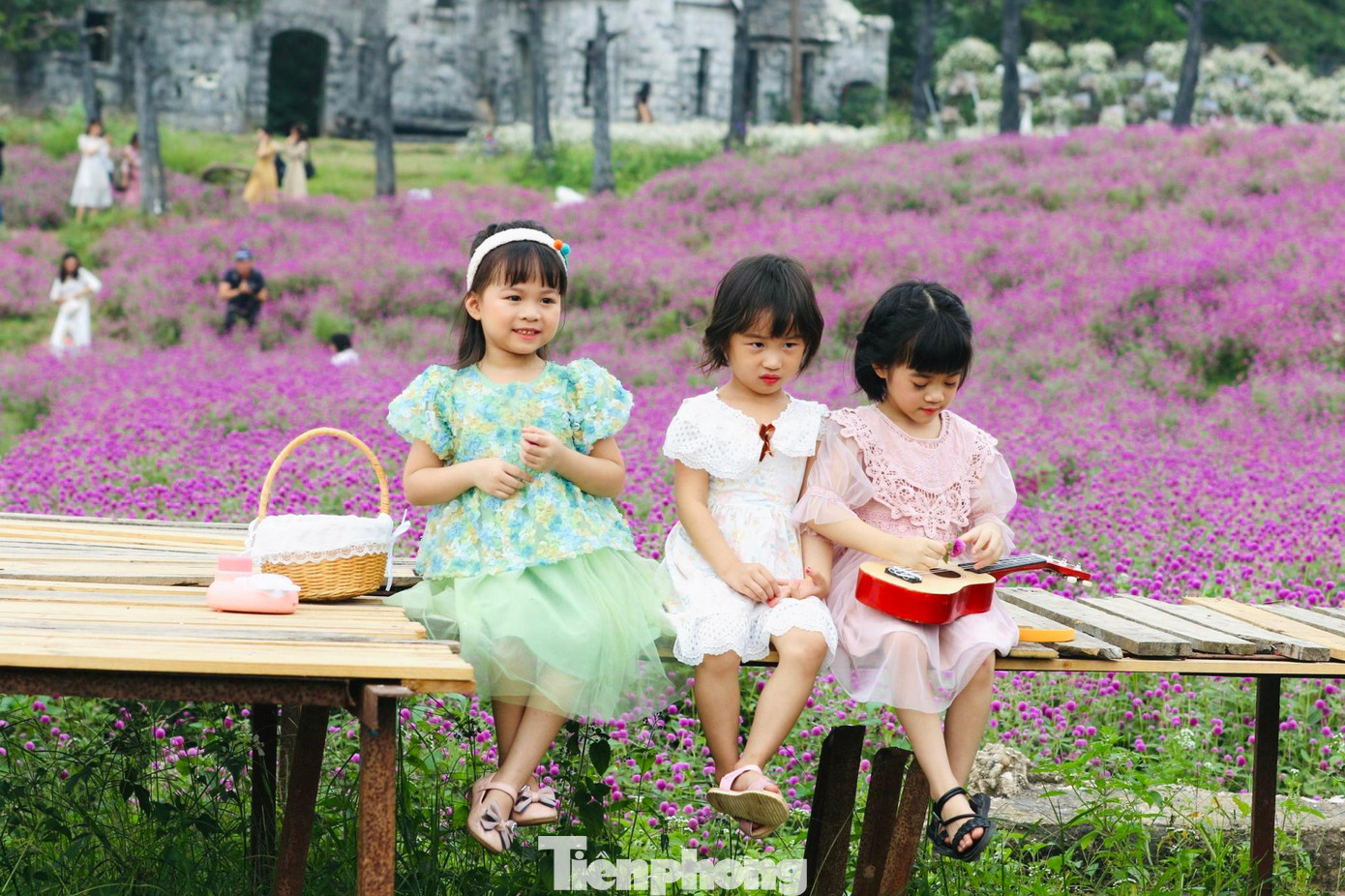 Nhiều em nhỏ cũng được các gia đình đưa tới chụp ảnh check-in với vườn cúc bách nhật rộng lớn.