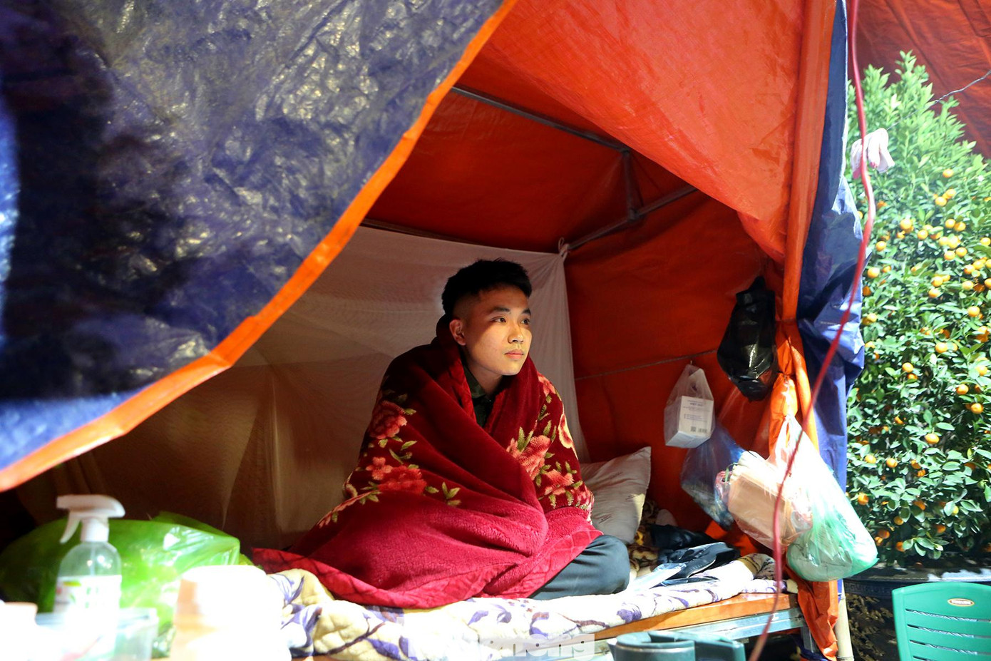 Những vườn bán quất, quýt, bưởi... được trông coi cẩn thận hơn bởi kẻ gian dễ dàng bứt quả, bẻ cành, phá hoại. Những vườn bán quất, quýt, bưởi... được trông coi cẩn thận hơn bởi kẻ gian dễ dàng bứt quả, bẻ cành, phá hoại.