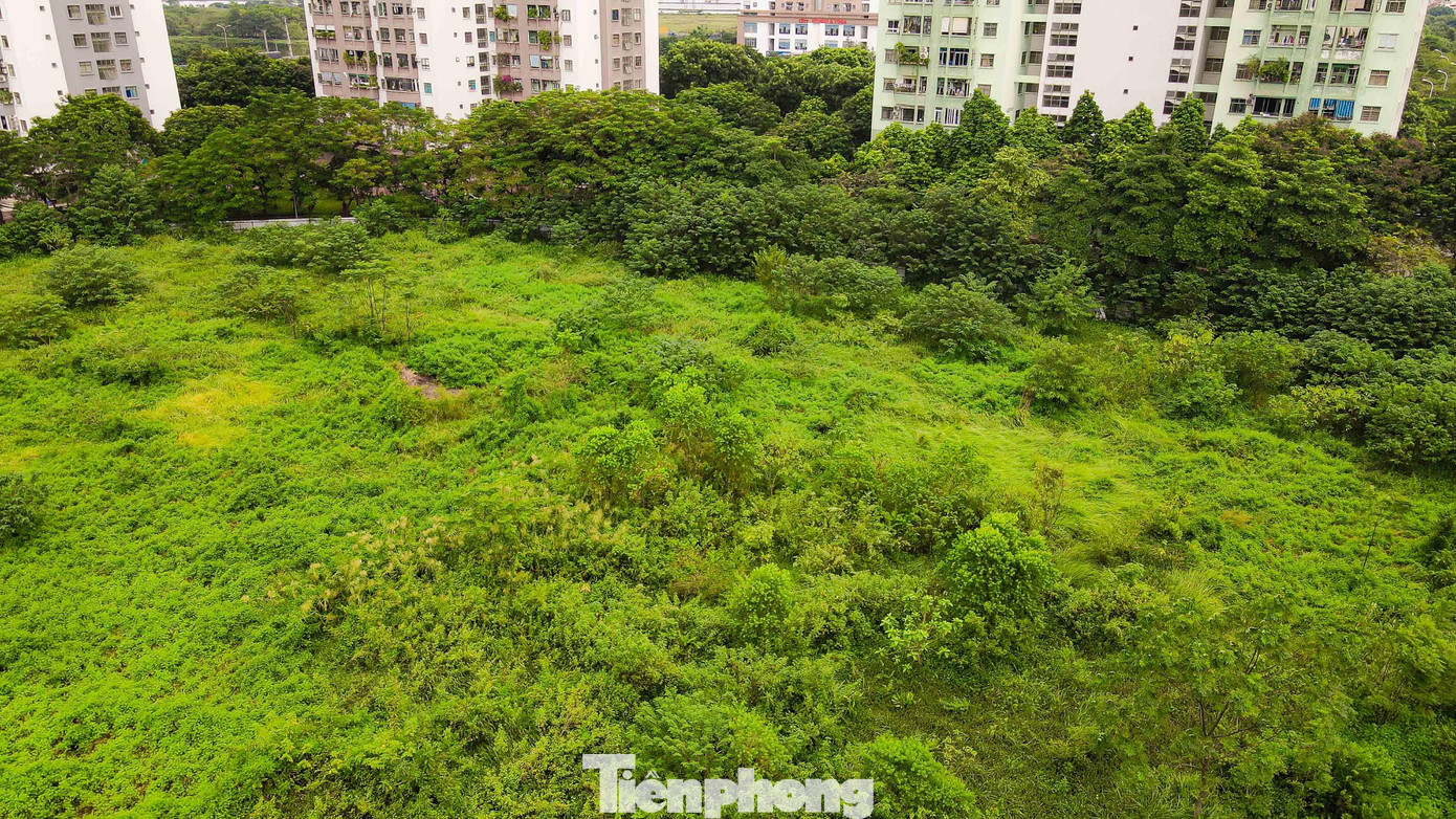 Ô đất C1/TH2 với diện tích lên tới 2,4ha, được quy hoạch với mục đích thành trường THCS. Vị trí ô đất này hiện tại đang được bao quanh bởi các tòa nhà cao tầng ở khu đô thị Pháp Vân - Tứ Hiệp, gần với đường cao tốc Pháp Vân - Cầu Giẽ. Phía bên trong bị bỏ hoang lâu năm khiến cây cối, cỏ dại mọc um tùm.