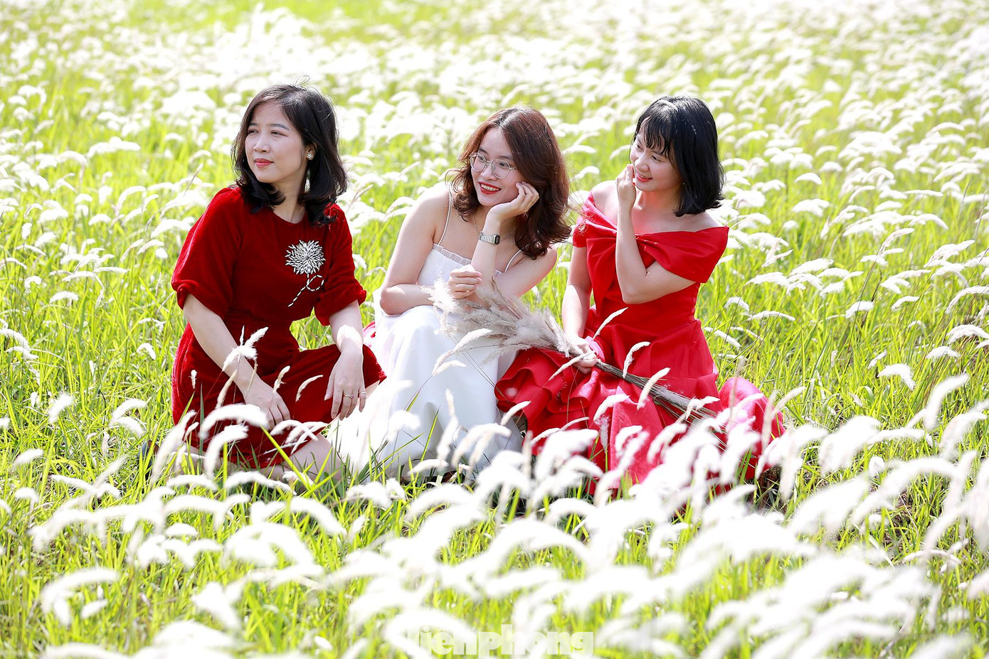 Thời điểm lý tưởng để chụp hình với cảnh đồng cỏ lau là những ngày nắng, lúc sáng sớm nhưng đẹp nhất có lẽ là vào lúc hoàng hôn khoảng 4 – 5h chiều.