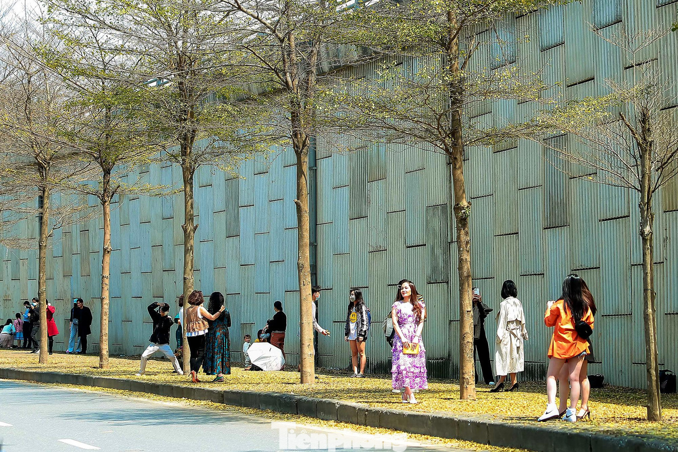 Trong tiết trời chuyển mùa của miền Bắc, những cây bàng ngả màu vàng rực ven sông Tô Lịch bất ngờ tạo nên những khung cảnh đẹp như tranh vẽ thu hút nhiều người dân tìm đến săn ảnh.