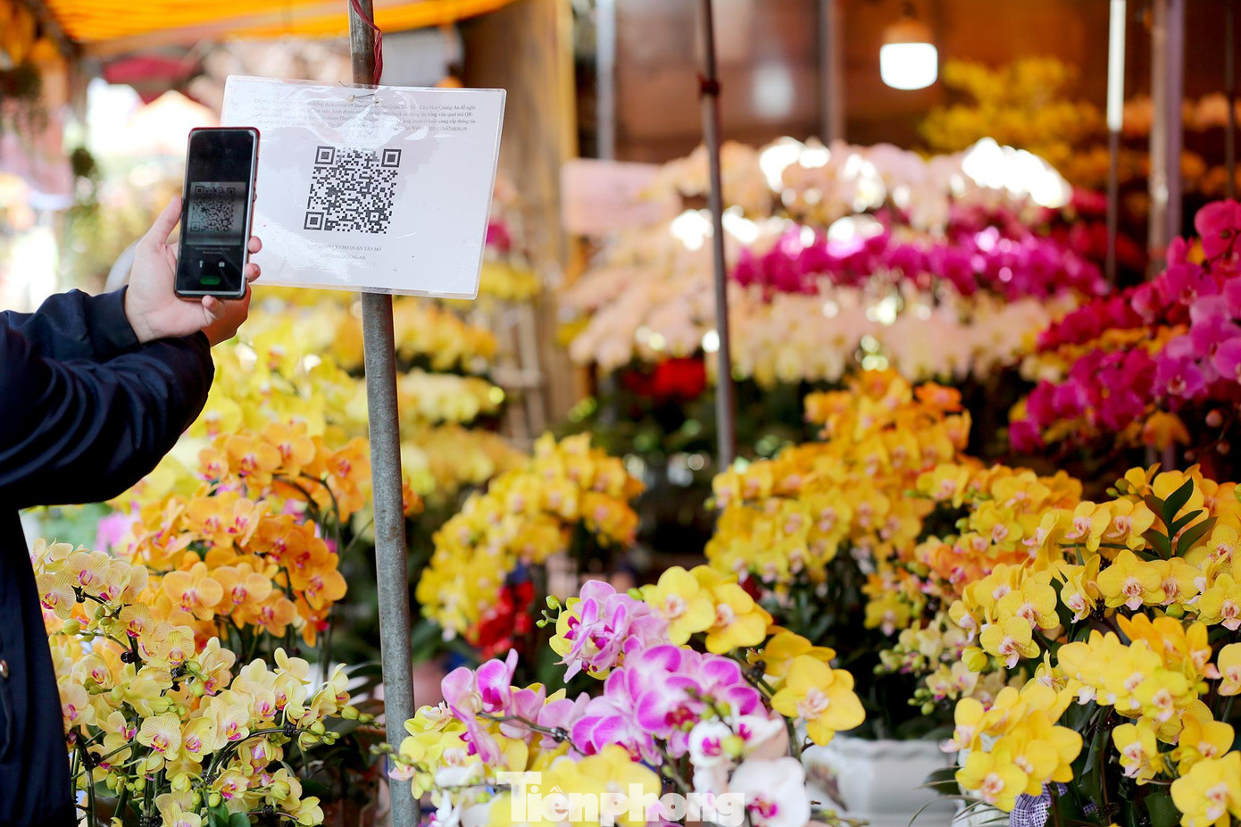 Tất cả các cửa hàng đều treo mã QR để khách hàng quét và khai báo y tế.