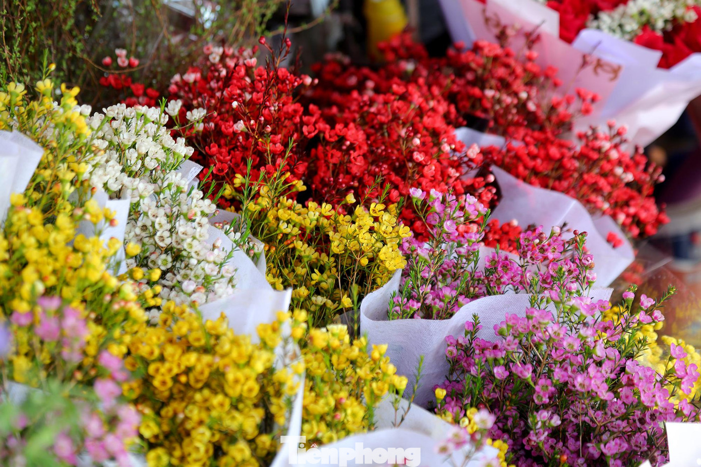 "Năm nay quận Tây Hồ có 7 điểm chợ hoa Tết được UBND Thành phố cho phép hoạt động gồm 3 điểm do quận và 4 điểm do các phường trên địa bàn quản lý. Tất cả các điểm đều thực hiện nghiêm công tác đảm bảo an toàn phòng, chống dịch", bà Thanh Hương - phó trưởng phòng kinh tế quận chia sẻ.