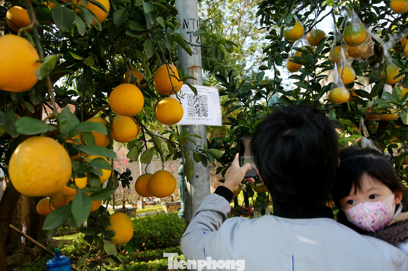 Và quét mã QR khai báo y tế cẩn thận khi được người bán hàng hướng dẫn.