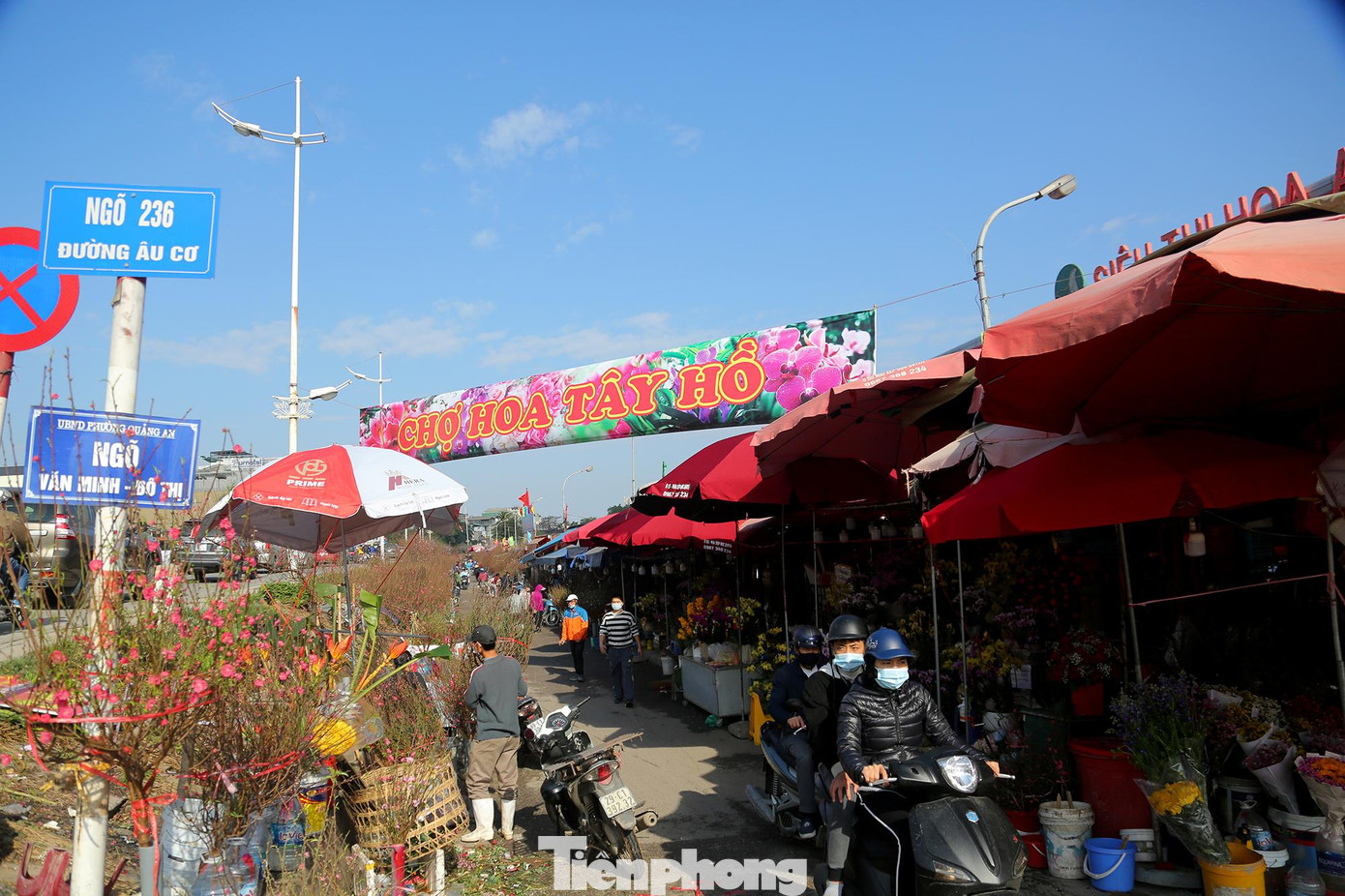 Trước đó UBND Thành phố Hà Nội yêu cầu các địa phương có chợ hoa Xuân phải thực hiện việc gắn biển tên, trang trí cờ, ánh sáng; bố trí nơi làm việc, số điện thoại của đơn vị quản lý chợ hoa để liên hệ giao dịch, kịp thời giải quyết các sự cố; dành diện tích phù hợp để làm nơi trông giữ phương tiện cho khách đến tham quan, mua sắm; có bố trí khu vực vệ sinh công cộng…