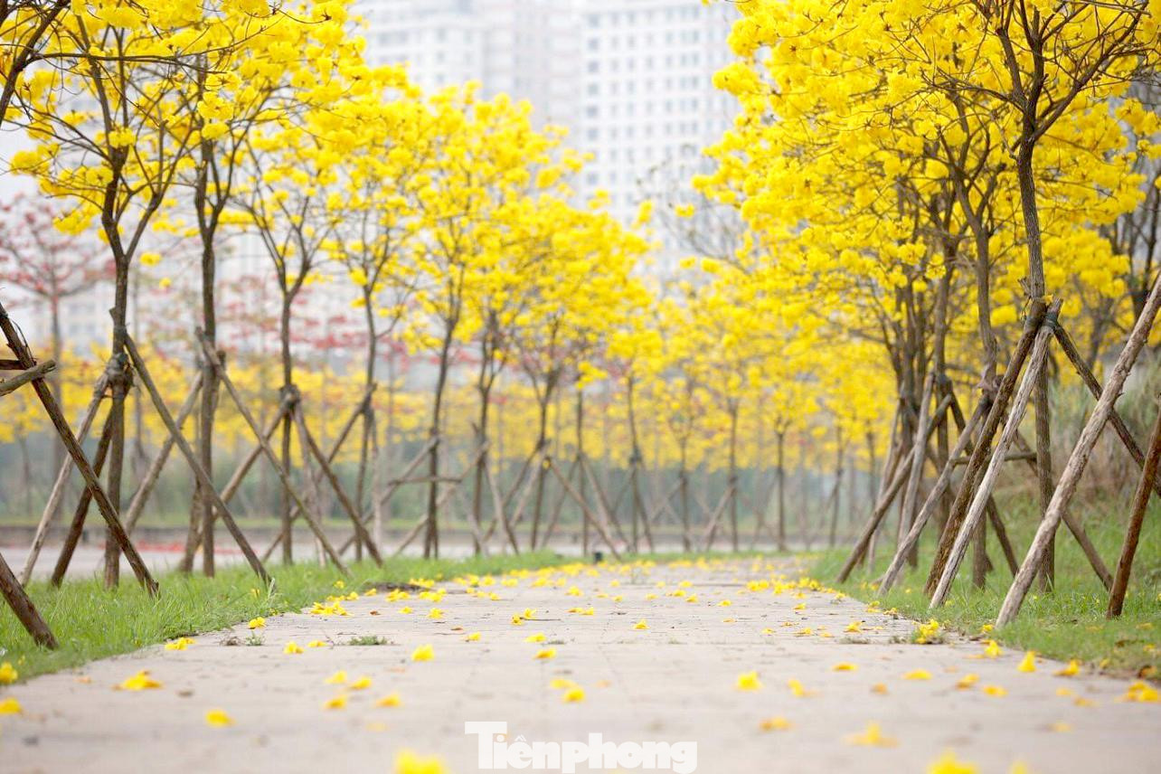 Cung đường tuyệt đẹp này sẽ sớm trở thành "phim trường" thu hút nhiều người đến chụp hình.