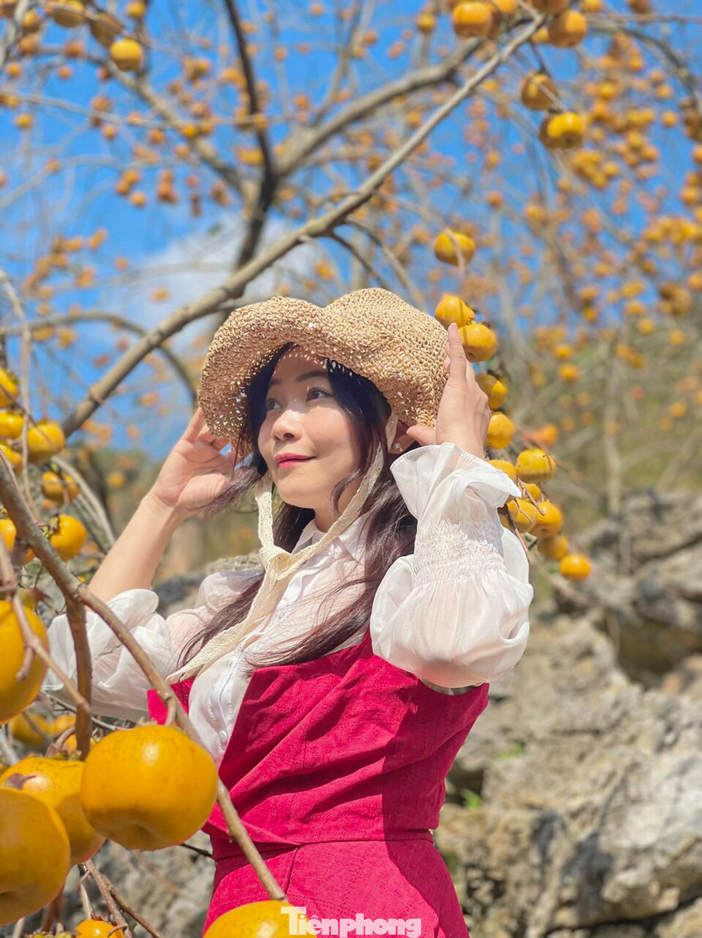 Vẻ đẹp đặc biệt của các khu vườn hồng này đã thu hút nhiều du khách ghé thăm và lưu giữ những khoảnh khắc ấn tượng.