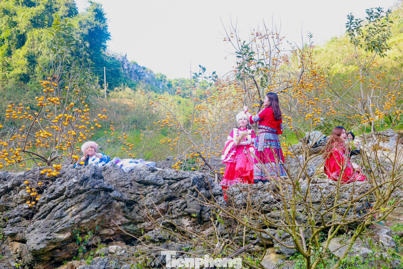 Những ngày này du khách lại nườm nượp đổ về check-in với vườn hồng đẹp mắt.