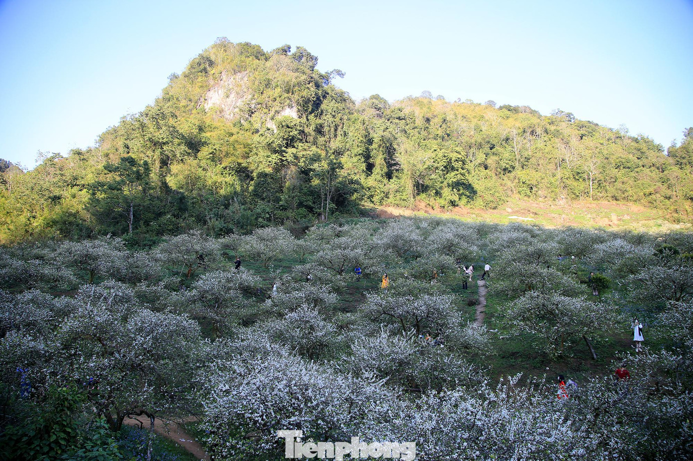 Mu Náu thuộc địa phận xã Mường San (Mộc Châu) cách Trung tâm Thị trấn Mộc Châu khoảng 5 km.