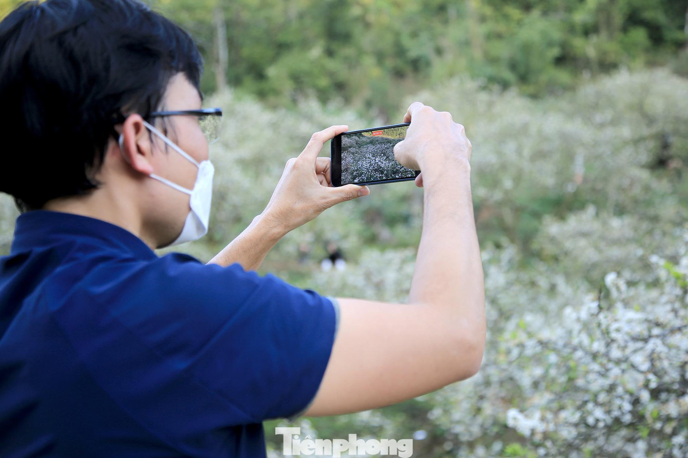 Đứng trên cao phóng tầm mắt xuống càng cảm nhận được nét đẹp tinh khôi của nơi này, với từng cánh mận trắng muốt, lung linh, xoay góc nào chụp cũng đẹp hút mắt.