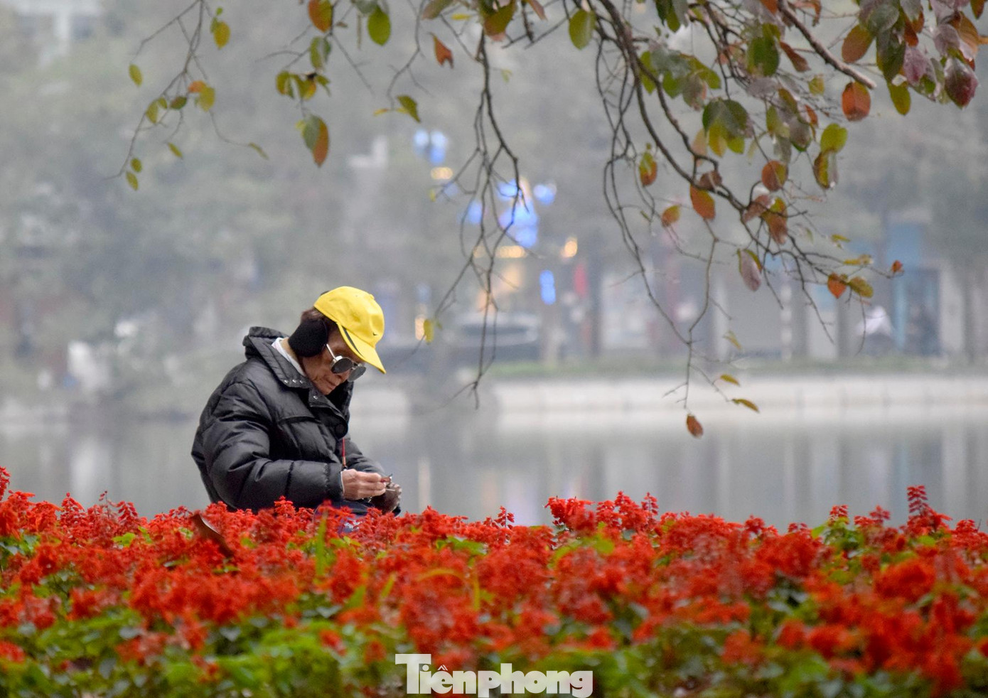 Hà Nội đúng nghĩa là Hà Nội bình lặng, dung dị.