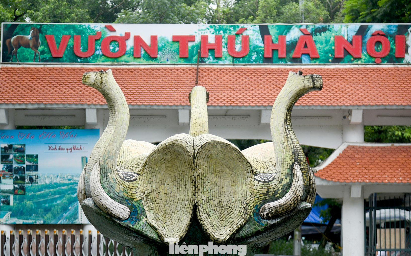 Công viên Thủ Lệ là địa điểm thu hút được đông người dân đến vui chơi, tham quan nhất là các ngày lễ và cuối tuần...