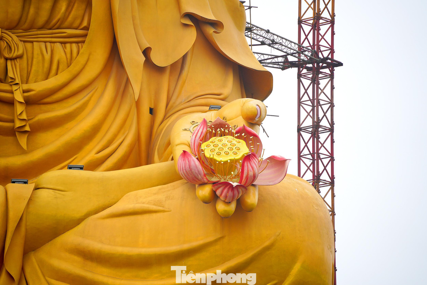 Năm 2015, đại đức Thích Đạo Thịnh bắt đầu cho dựng pho đại tượng phật A Di Đà, với thông điệp vì hòa bình thế giới.