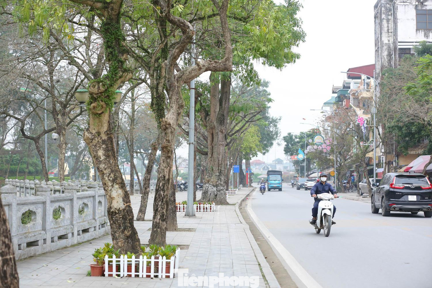 Phạm vi hoạt động của tuyến phố đi bộ gồm: Đường Phó Đức Chính, Phan Chu Trinh (gồm cả vỉa hè bên phía hào thành cổ), đường dạo phía ngoài cửa thành cổ Sơn Tây, vườn hoa trung tâm, 1/2 quảng trường khu vực trung tâm văn hóa, sân trước khu vực trung tâm văn hóa và quảng trường sân vận động thị xã Sơn Tây. Phạm vi hoạt động của tuyến phố đi bộ gồm: Đường Phó Đức Chính, Phan Chu Trinh (gồm cả vỉa hè bên phía hào thành cổ), đường dạo phía ngoài cửa thành cổ Sơn Tây, vườn hoa trung tâm, 1/2 quảng trường khu vực trung tâm văn hóa, sân trước khu vực trung tâm văn hóa và quảng trường sân vận động thị xã Sơn Tây.