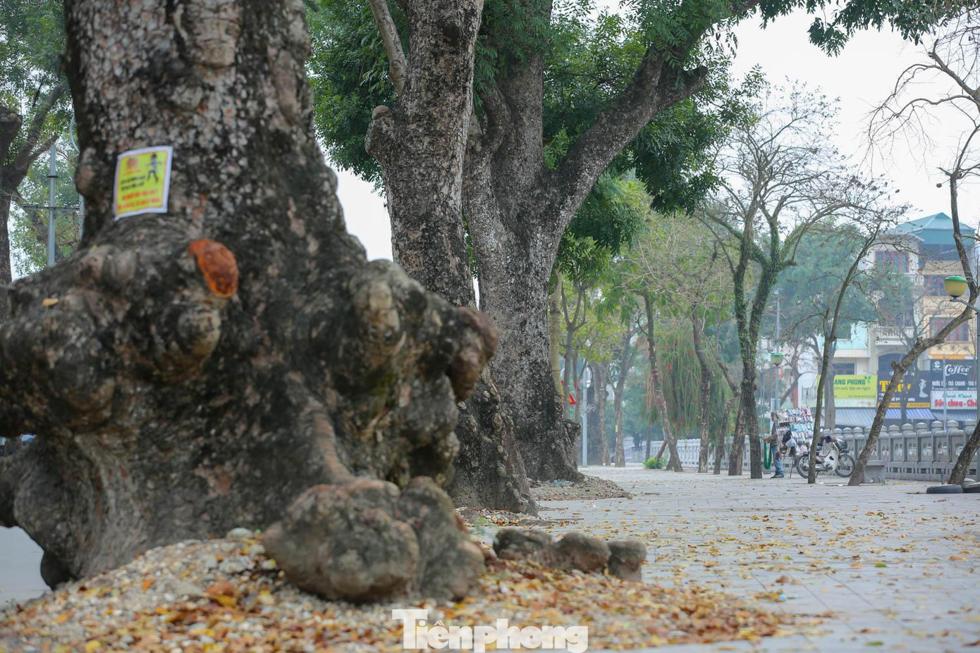 Đến nay, các đơn vị thi công đã hoàn thành toàn bộ công tác chỉnh trang hè phố... Đến nay, các đơn vị thi công đã hoàn thành toàn bộ công tác chỉnh trang hè phố...