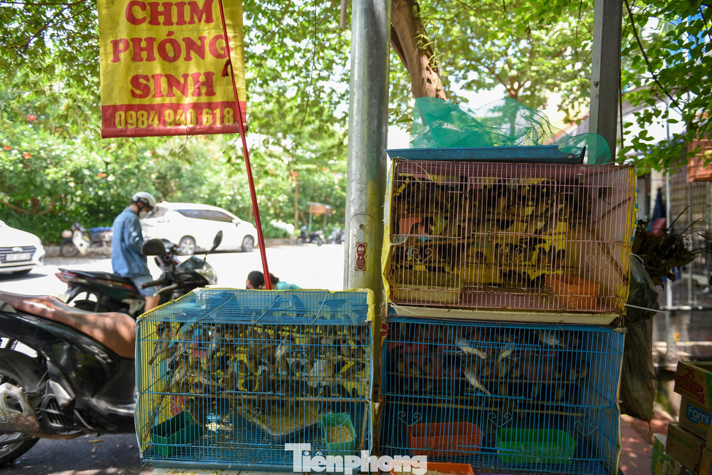 Tháng 7 Âm lịch còn được gọi là “tháng cô hồn”, cũng là lễ Vu Lan báo hiếu cha mẹ, ông bà tổ tiên.