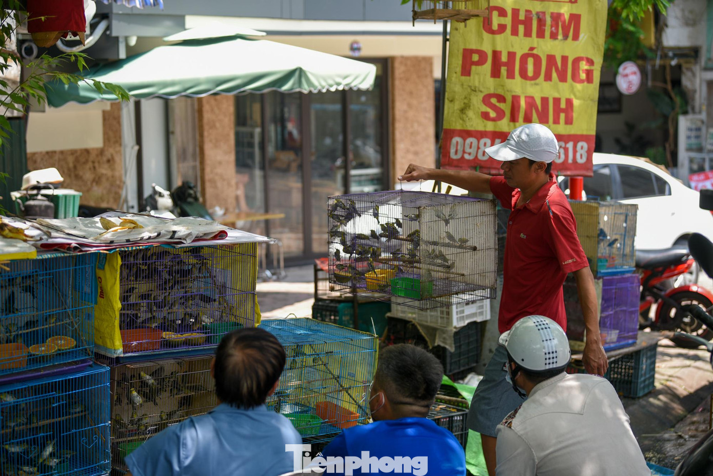 Tháng 7 Âm lịch, theo quan niệm dân gian, người dân mua chim phóng sinh vừa để cho lòng mình thanh thản, nhẹ nhõm lại vừa cầu bình an, sức khỏe cho cả gia đình.