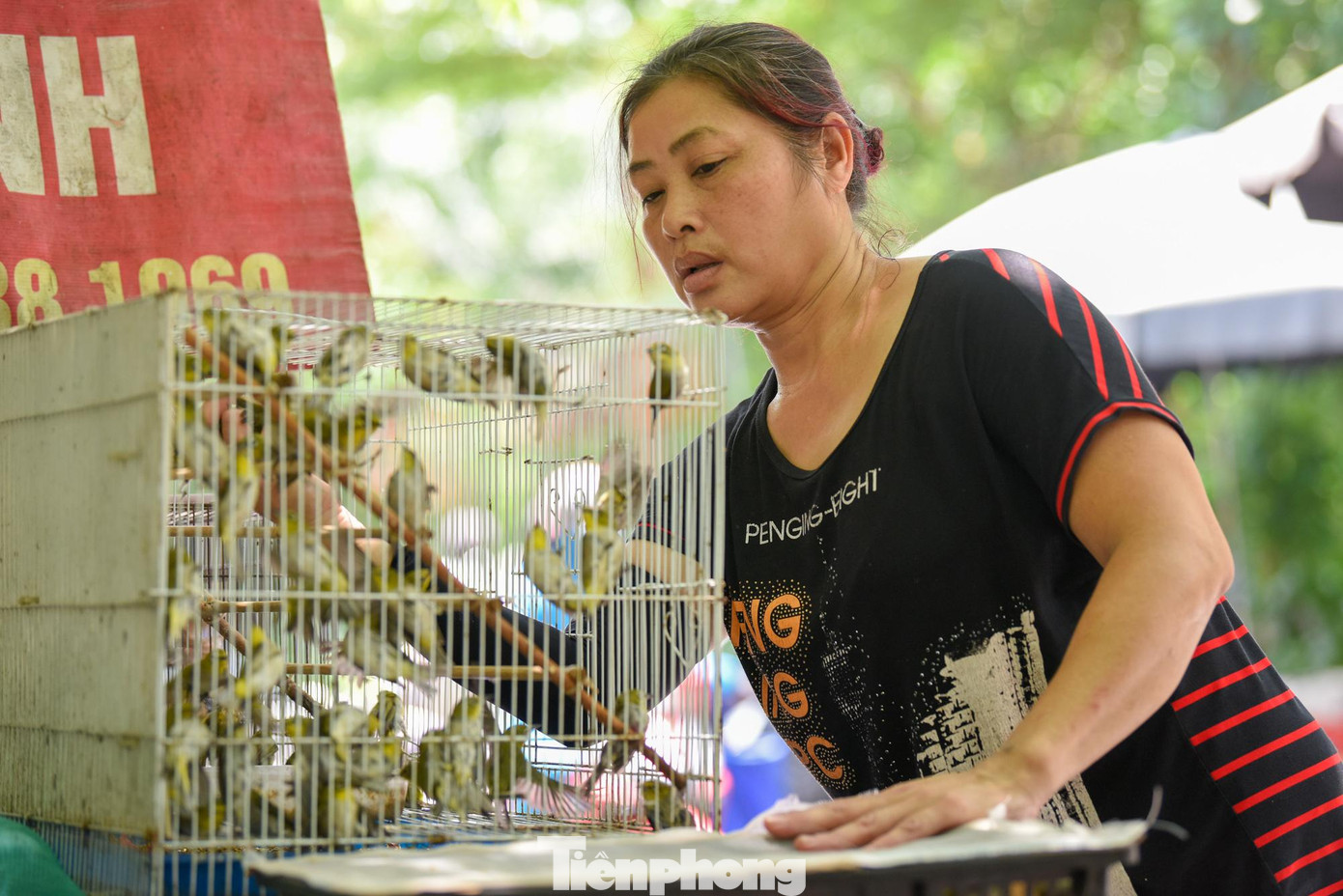 Cô Nguyễn Thị Tuyết (tiểu thương bán chim trên phố Hoàng Hoa Thám) chia sẻ: “Cửa hàng của tôi có rất nhiều chủng loại với giá xấp xỉ từ 18.000 đồng đến 25.000 đồng/con. Cao điểm mỗi ngày có thể bán trên dưới 1.000 con chim cho khách mua về phóng sinh trong Rằm tháng Bảy".