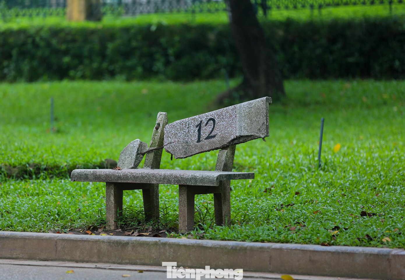 Rất nhiều ghế đá trong công viên đã hư hỏng hoàn toàn.