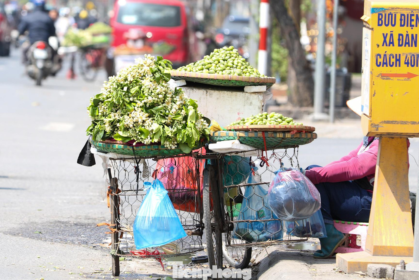 Cứ vào độ cuối tháng Giêng, đầu tháng 2 Âm lịch, trên nhiều tuyến phố Hà Nội lại thấp thoáng sắc trắng tinh khôi, hương thơm ngát của hoa bưởi từ những gánh hàng rong.
