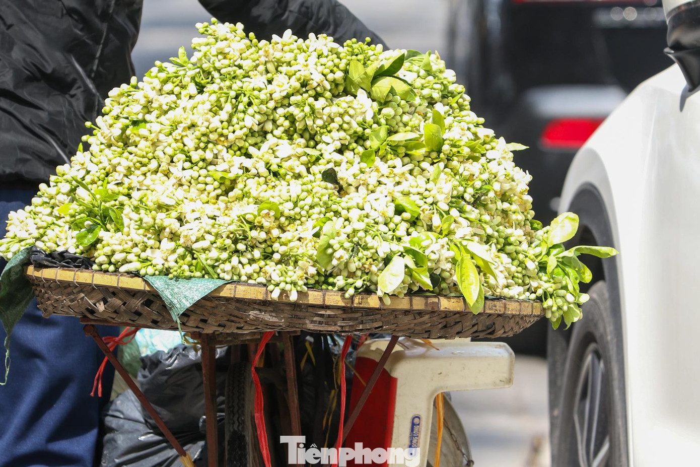 Mùi hương dịu mát, để được cả tuần nên hoa bưởi được nhiều người Hà Nội yêu thích