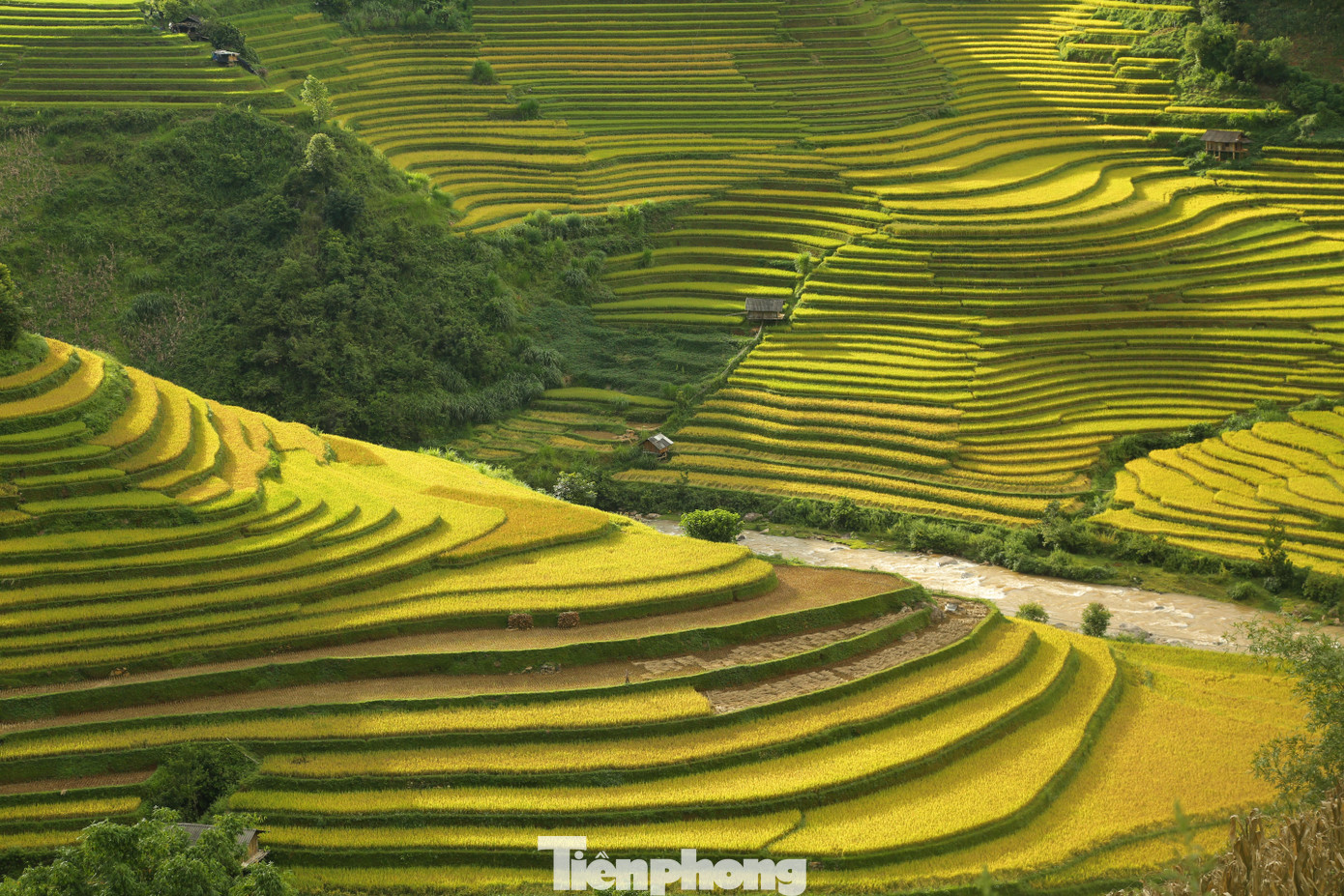 Cách Hà Nội chỉ khoảng 300km, nằm trên cung đường Tây Bắc tuyệt đẹp của tỉnh Yên Bái, Mù Cang Chải được coi là điểm “check in” không thể thiếu của giới trẻ, dân “phượt” và dân đam mê nhiếp ảnh.