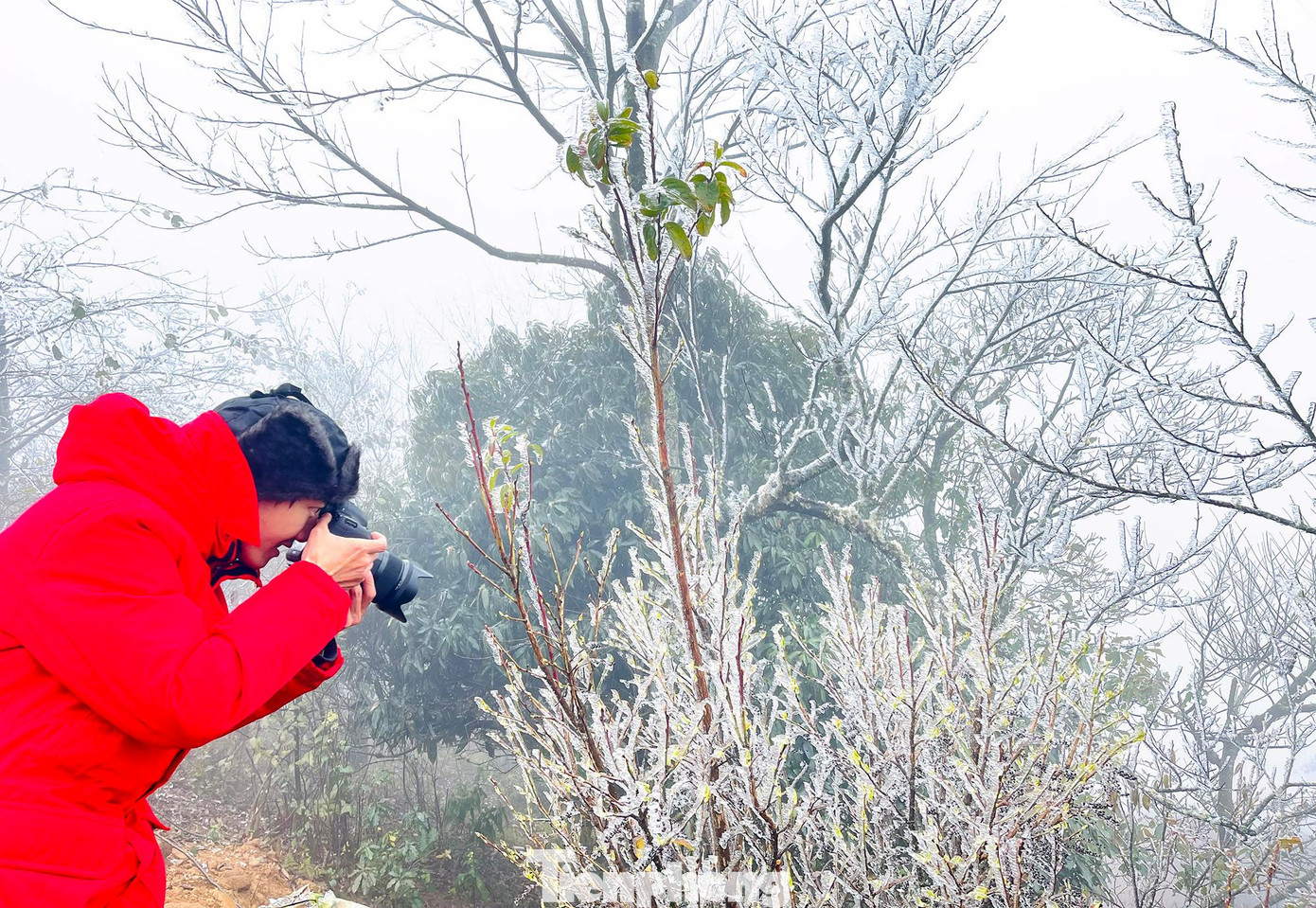 Anh Nhã DT (ở Hà Nội) cùng gia đình lên Sa Pa từ ngày hôm kia, sau đó sáng nay qua Y Tý để săn băng tuyết. "Là 1 nhiếp ảnh gia nên khi nghe dự báo Lào Cai có tuyết tôi lên kế hoạch cùng bạn bè đi săn ngay", anh chia sẻ.