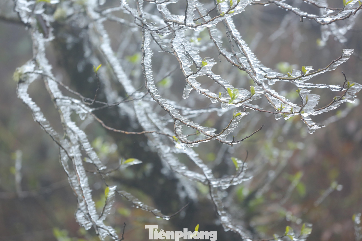 Do không khí lạnh và hội tụ gió tiếp tục tác động, nhiệt độ cả ngày hôm nay ở miền Bắc sẽ duy trì thấp, cao nhất chỉ 13 độ C.