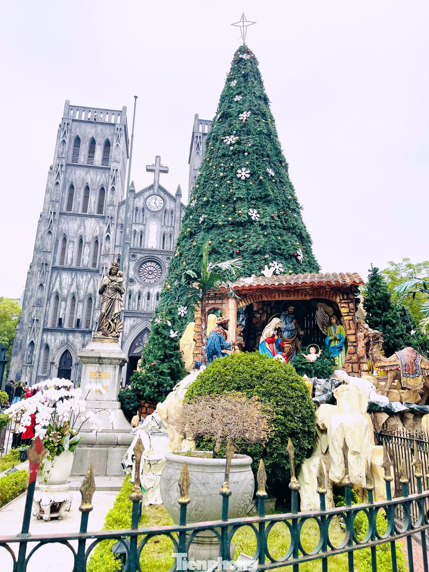 Những cây thông cao hàng chục mét, được trang trí cầu kỳ, bắt mắt… thu hút sự chú ý của người dân Thủ đô trong mùa Giáng sinh năm nay.