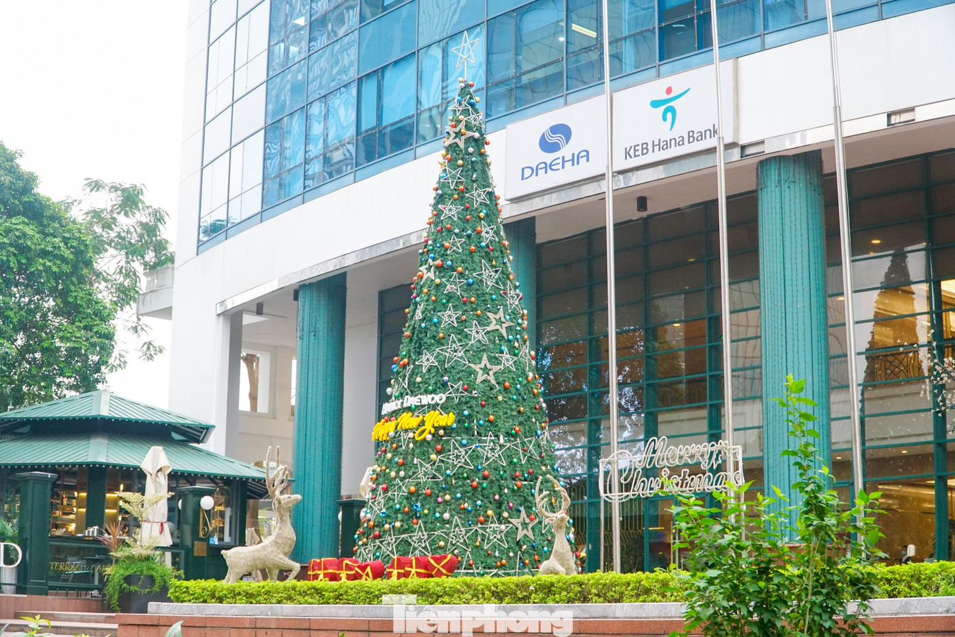 Cây thông Noel khổng lồ ấn tượng trước khách sạn trên phố Đào Tấn.