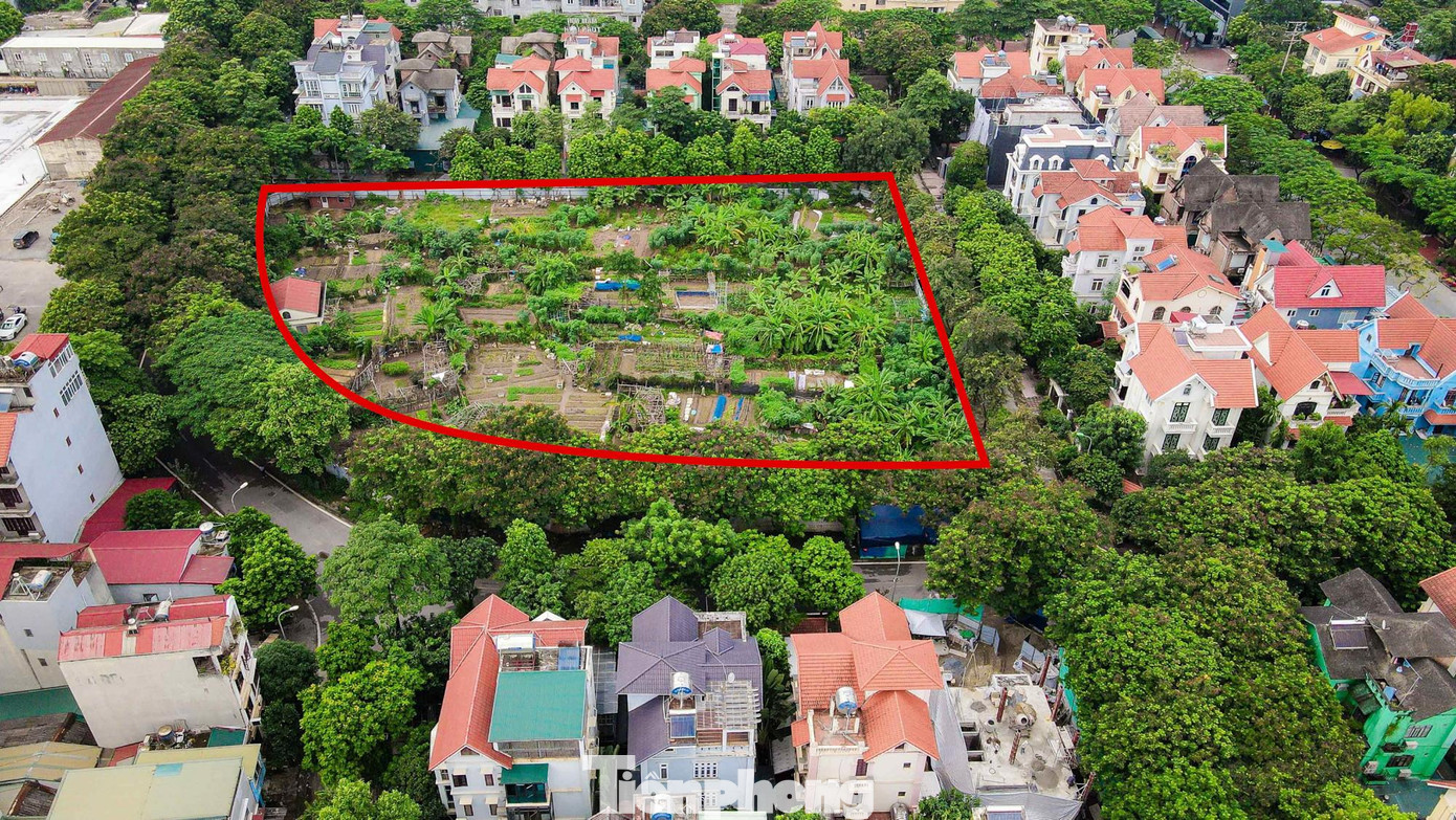 Ô đất C1/NT3 với diện tích 0,6ha cũng được quy hoạch với mục đích xây dựng thành trường mầm non.