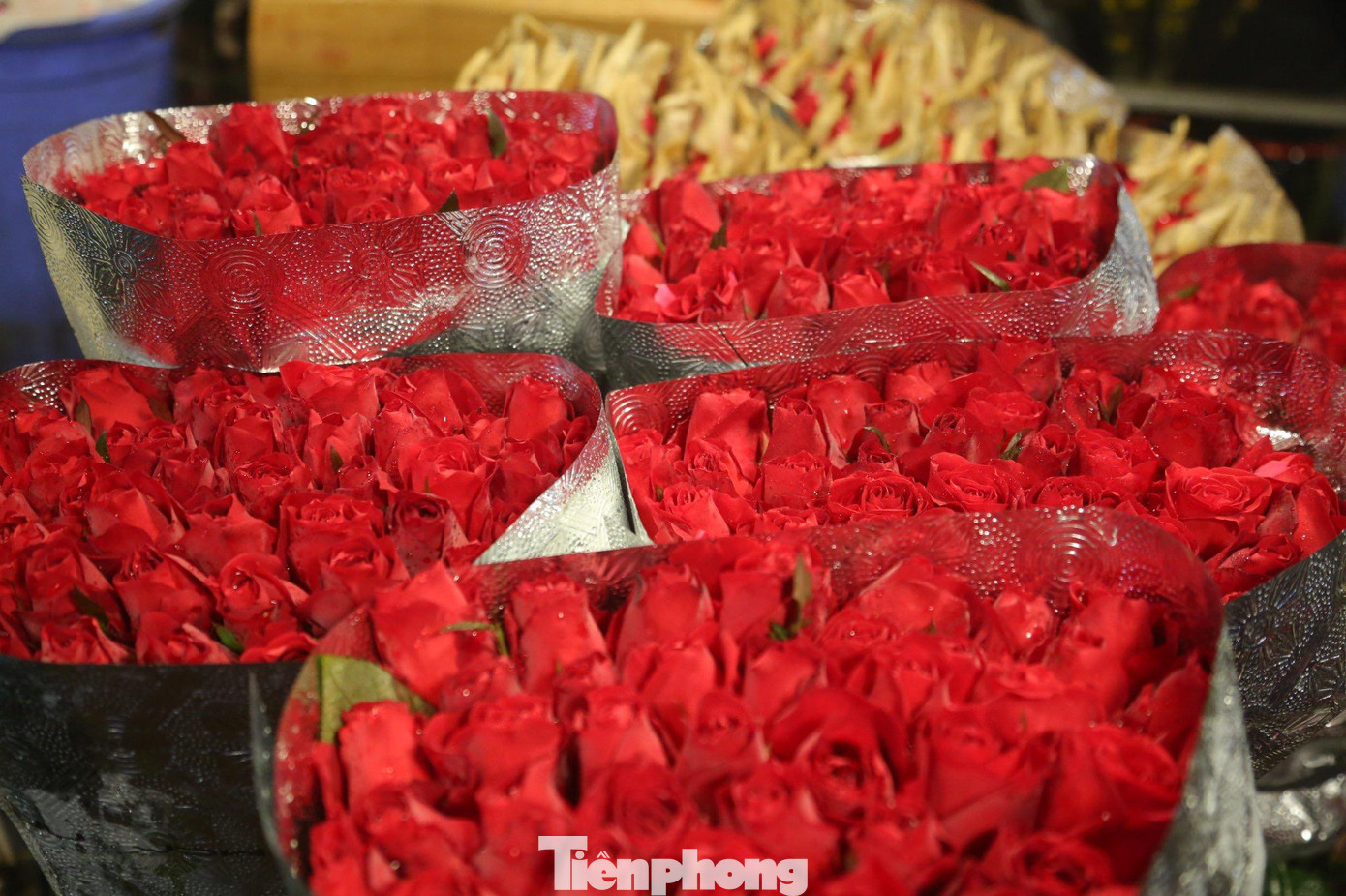 Vào những ngày lễ lớn như ngày tình nhân, các sạp hàng hoa hồng luôn trong tình trạng đông đúc người dân tới đây mua và buôn bán. Vào những ngày lễ lớn như ngày tình nhân, các sạp hàng hoa hồng luôn trong tình trạng đông đúc người dân tới đây mua và buôn bán.